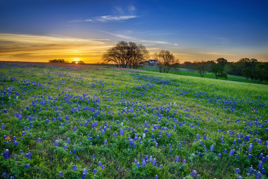 Why Would I Need a Will or a Trust?